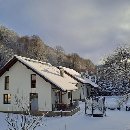 Тиловите Къщи Ribaritsa Buitenkant foto