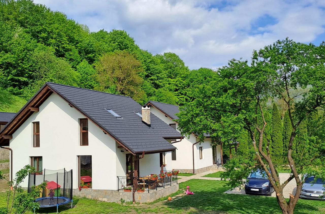 Тиловите Къщи Ribaritsa Buitenkant foto