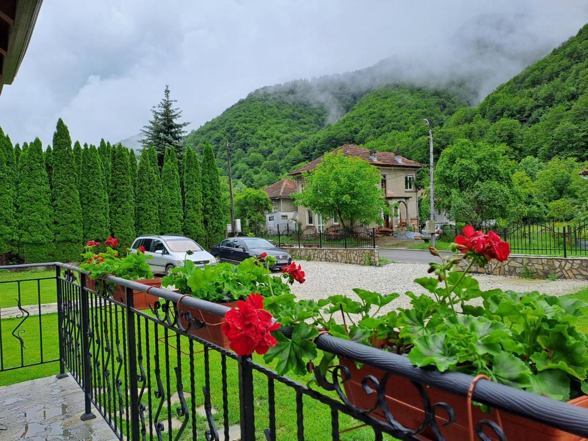 Тиловите Къщи Ribaritsa Buitenkant foto