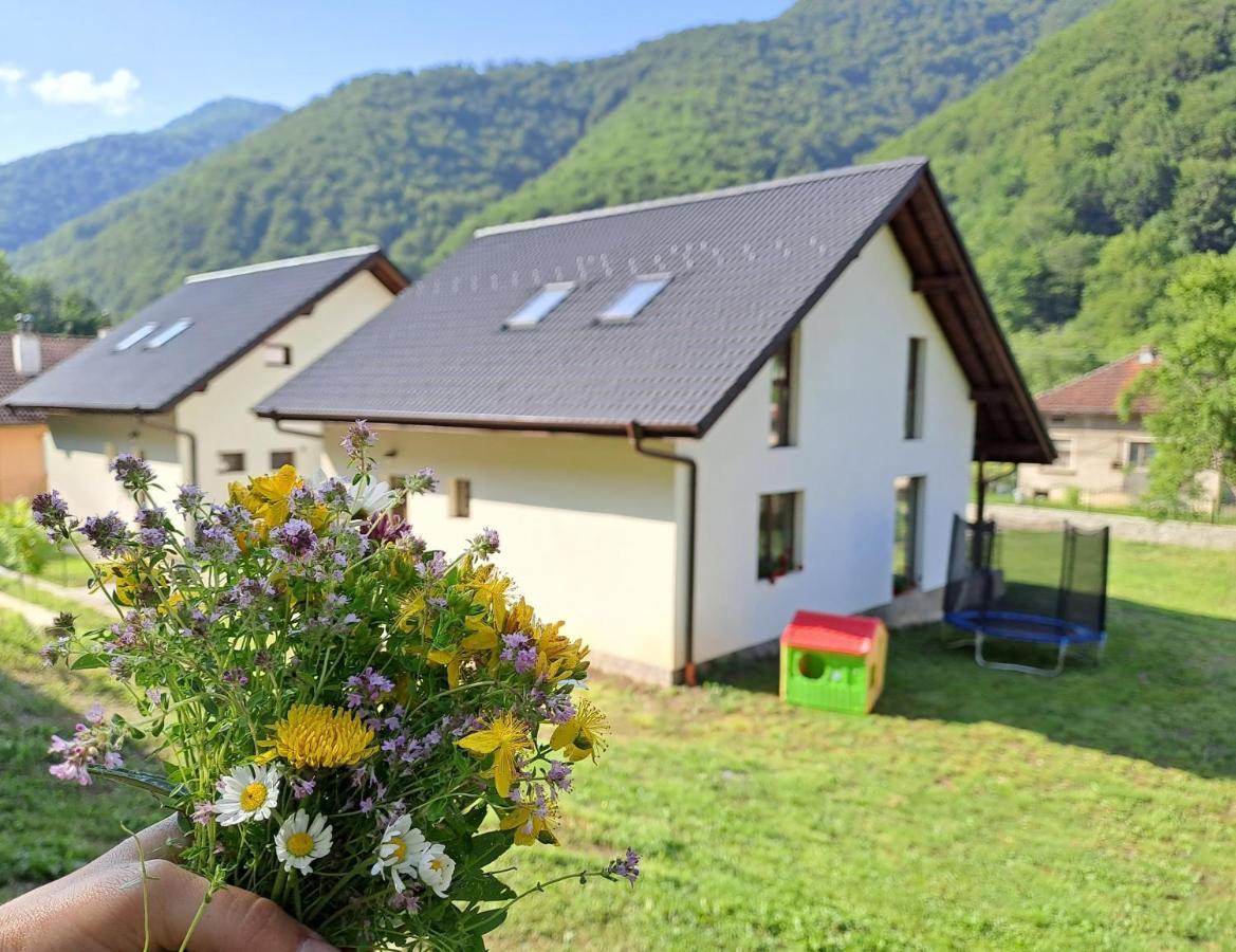 Тиловите Къщи Ribaritsa Buitenkant foto